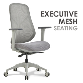 Executive Mesh Seating