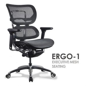 Ergo-1 range